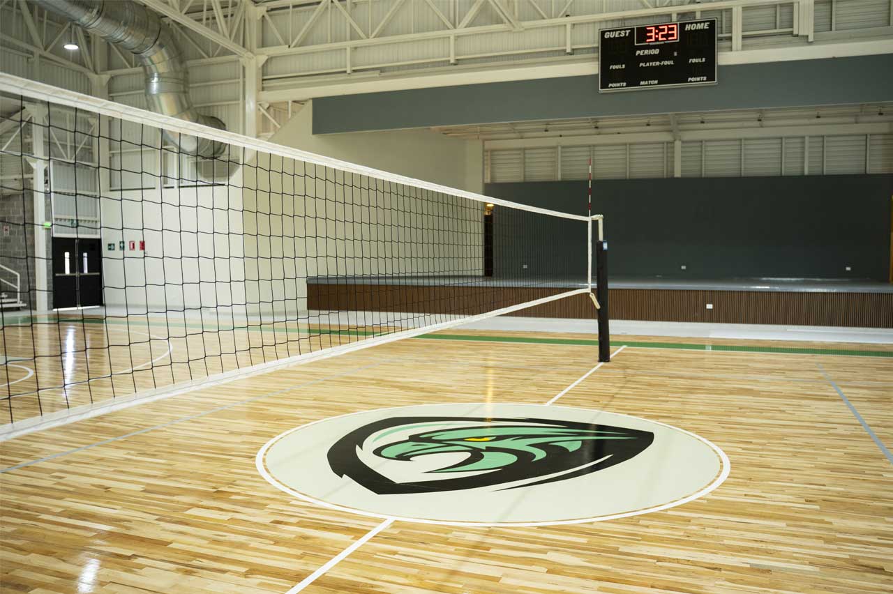 Sistemas de voleibol